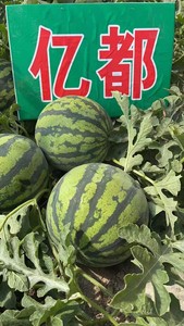 微信图片_202105101144586.jpg