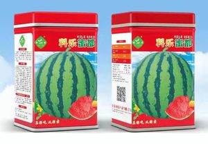 科乐蜜都