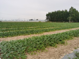 微信图片_20210408163351.jpg