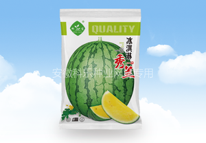冰淇淋秀兰