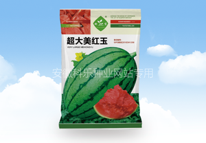 超大美红玉