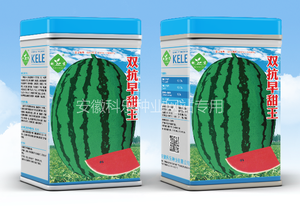 双抗早甜王