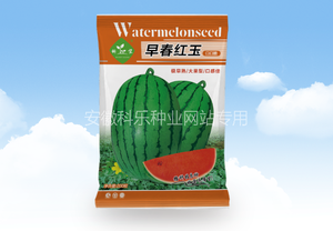 早春红玉口口脆